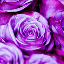 软件授权中心的网页攻击平台